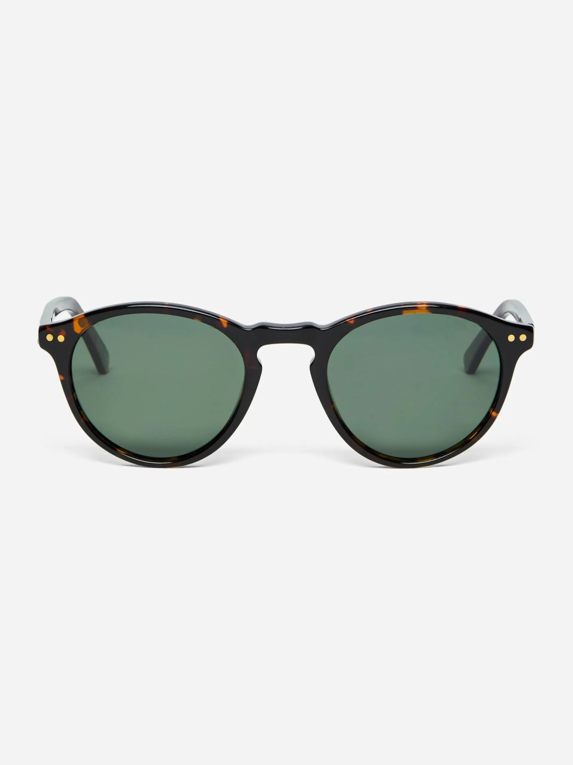 J.McLaughlin Bartleby Sunglasses DarkTortoise/Green Discount