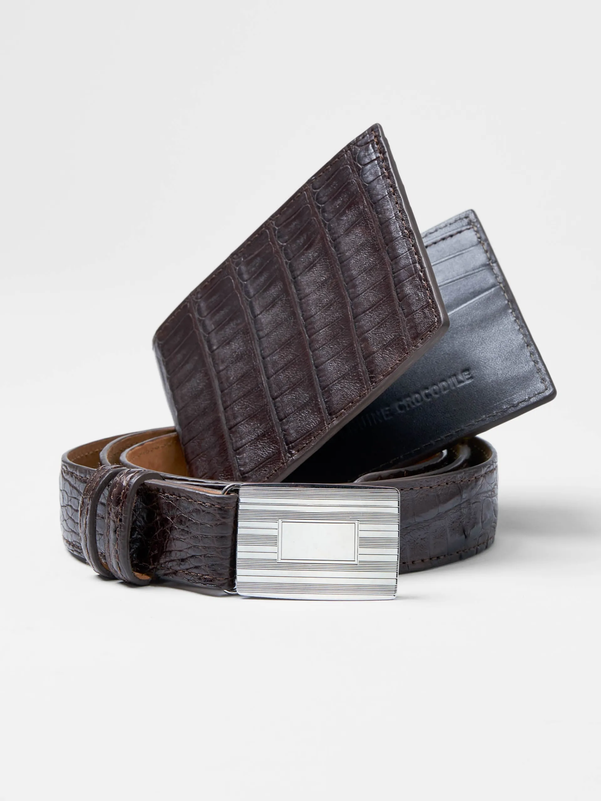 J.McLaughlin Genuine Crocodile Belt Cigar New