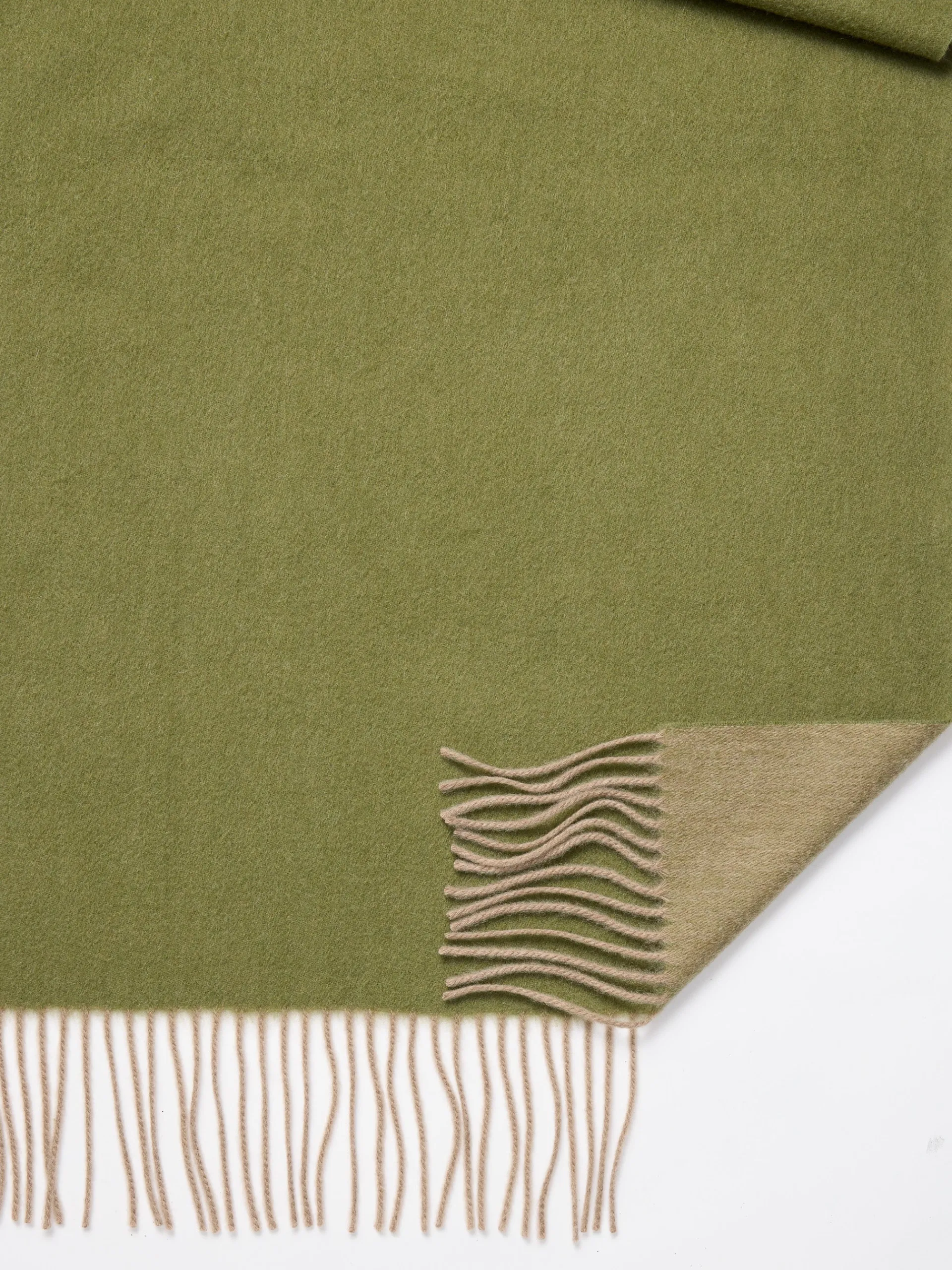 J.McLaughlin Jaipur Cashmere Scarf Olive/Camel Online